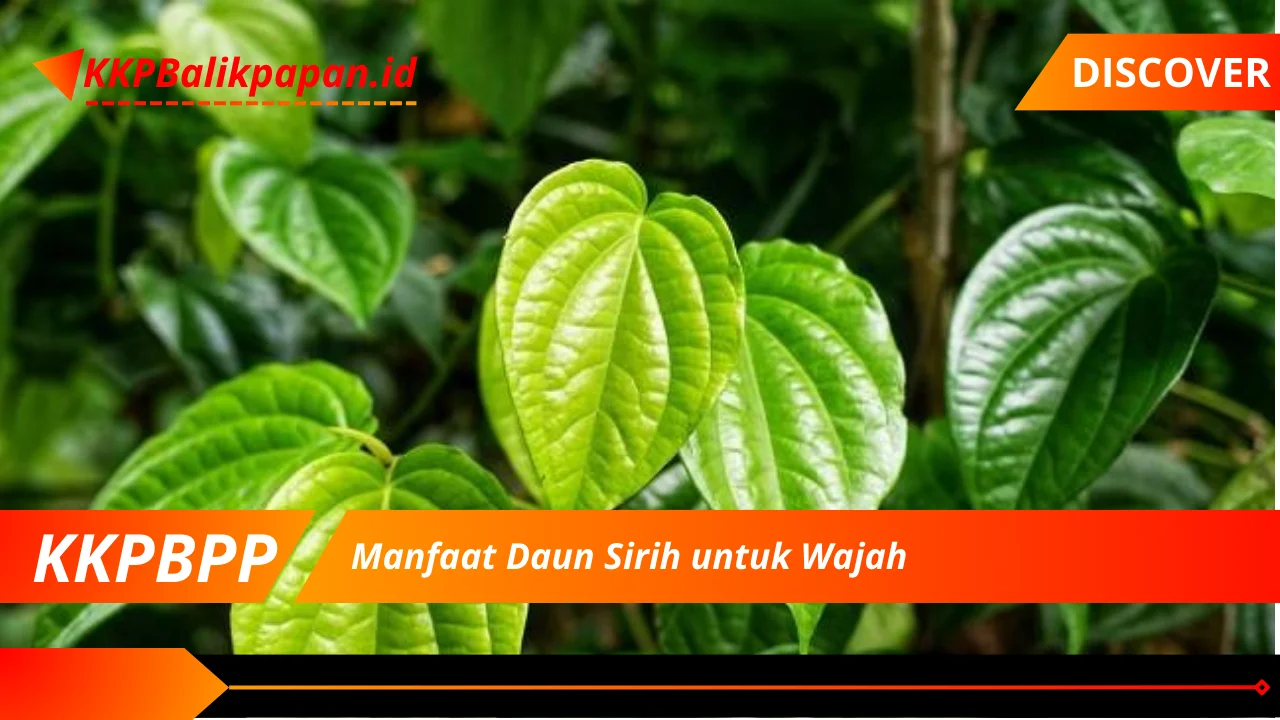 Manfaat Daun Sirih untuk Wajah