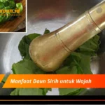 Manfaat Daun Sirih untuk Wajah