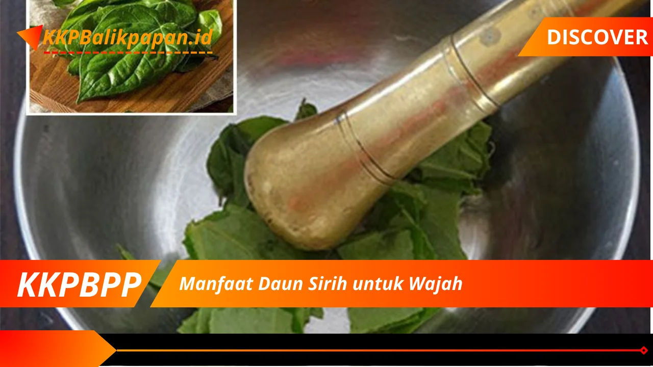 Manfaat Daun Sirih untuk Wajah