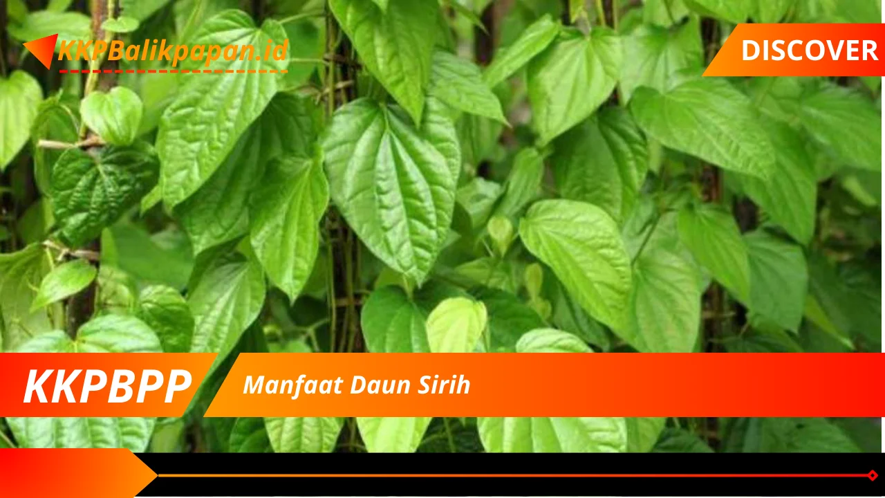 Manfaat Daun Sirih