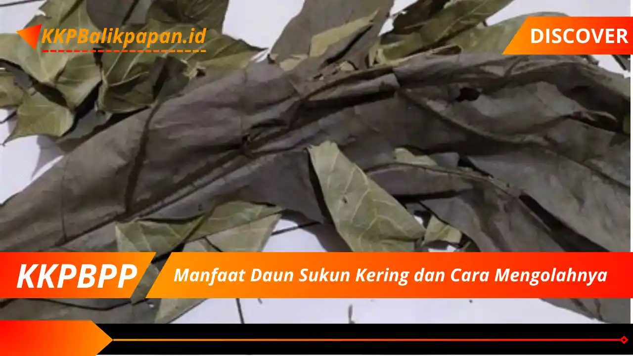 Manfaat Daun Sukun Kering dan Cara Mengolahnya