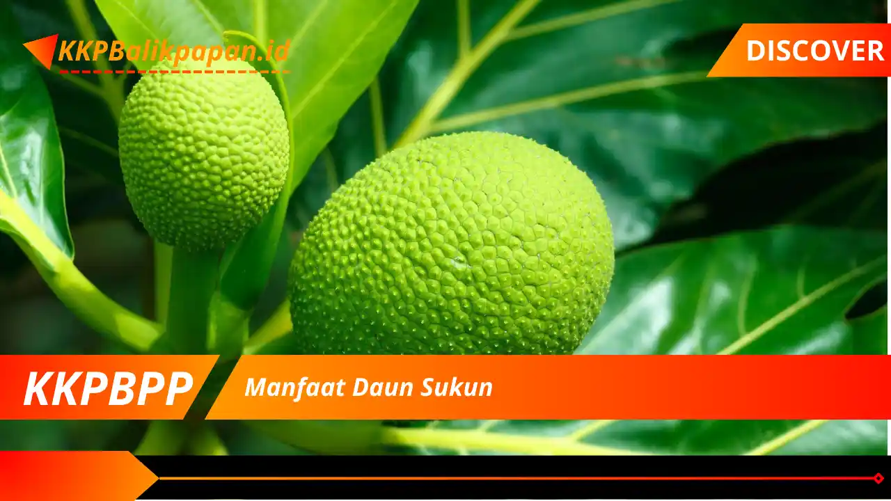 Manfaat Daun Sukun