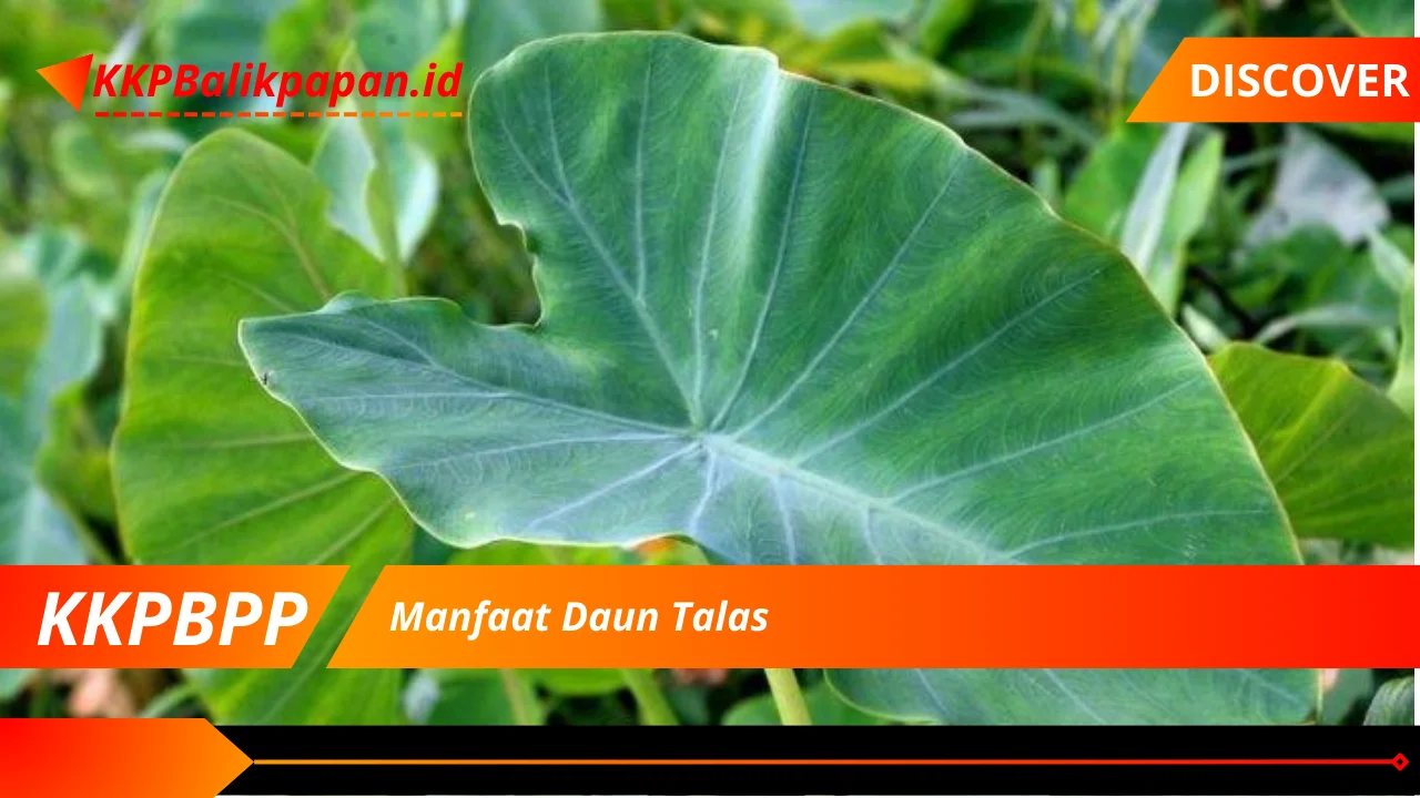 Manfaat Daun Talas