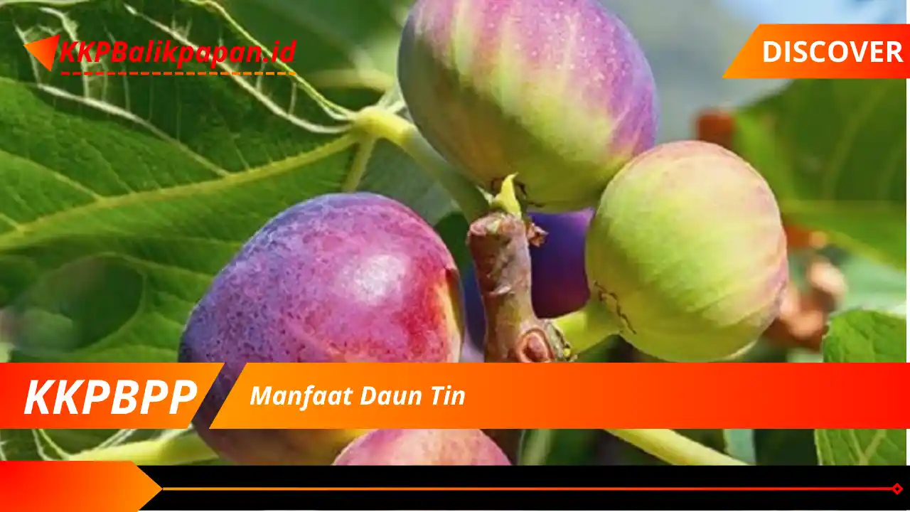 Manfaat Daun Tin