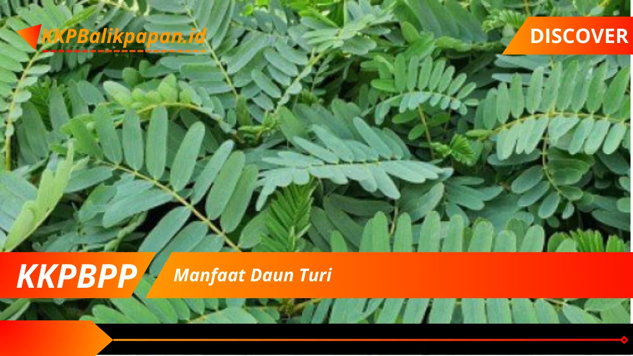 Manfaat Daun Turi