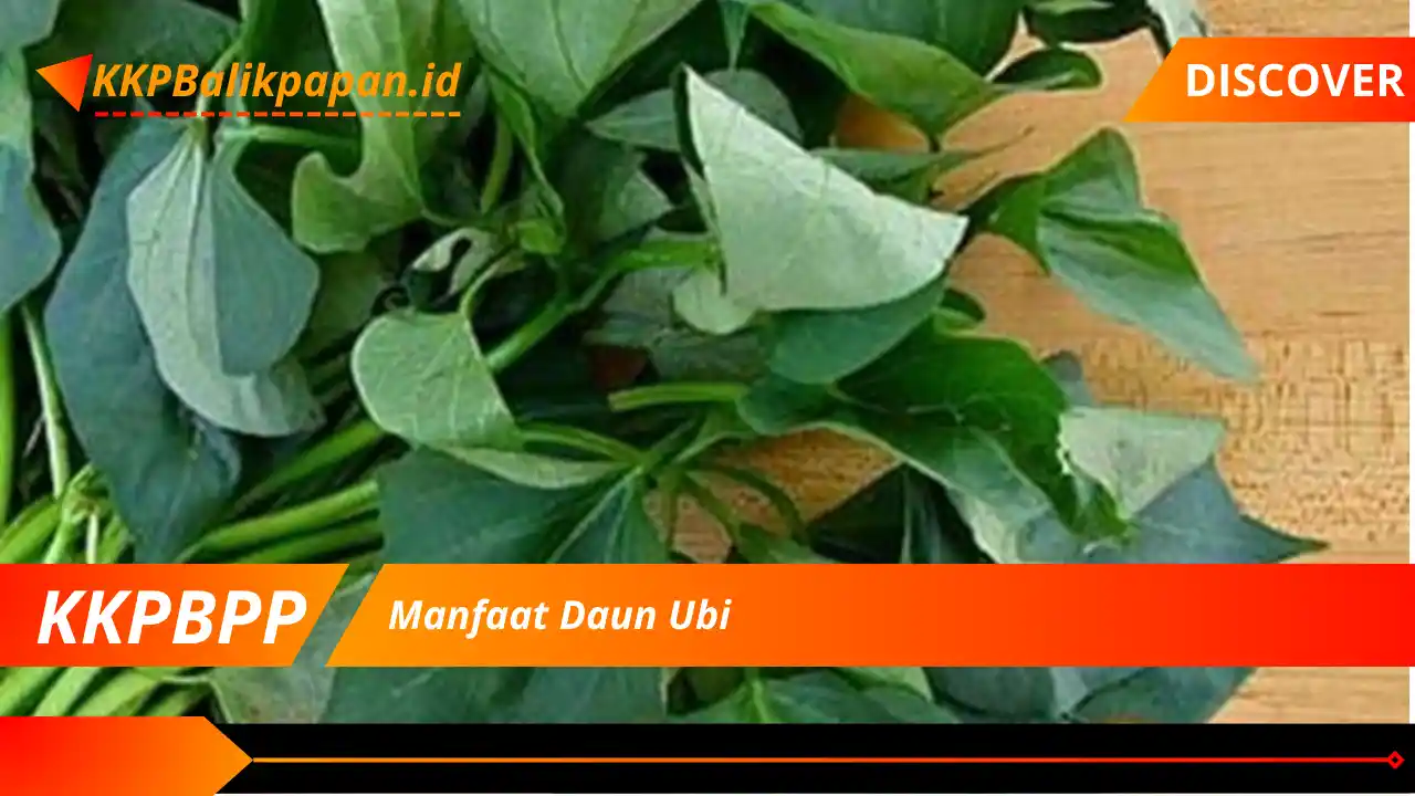 Manfaat Daun Ubi