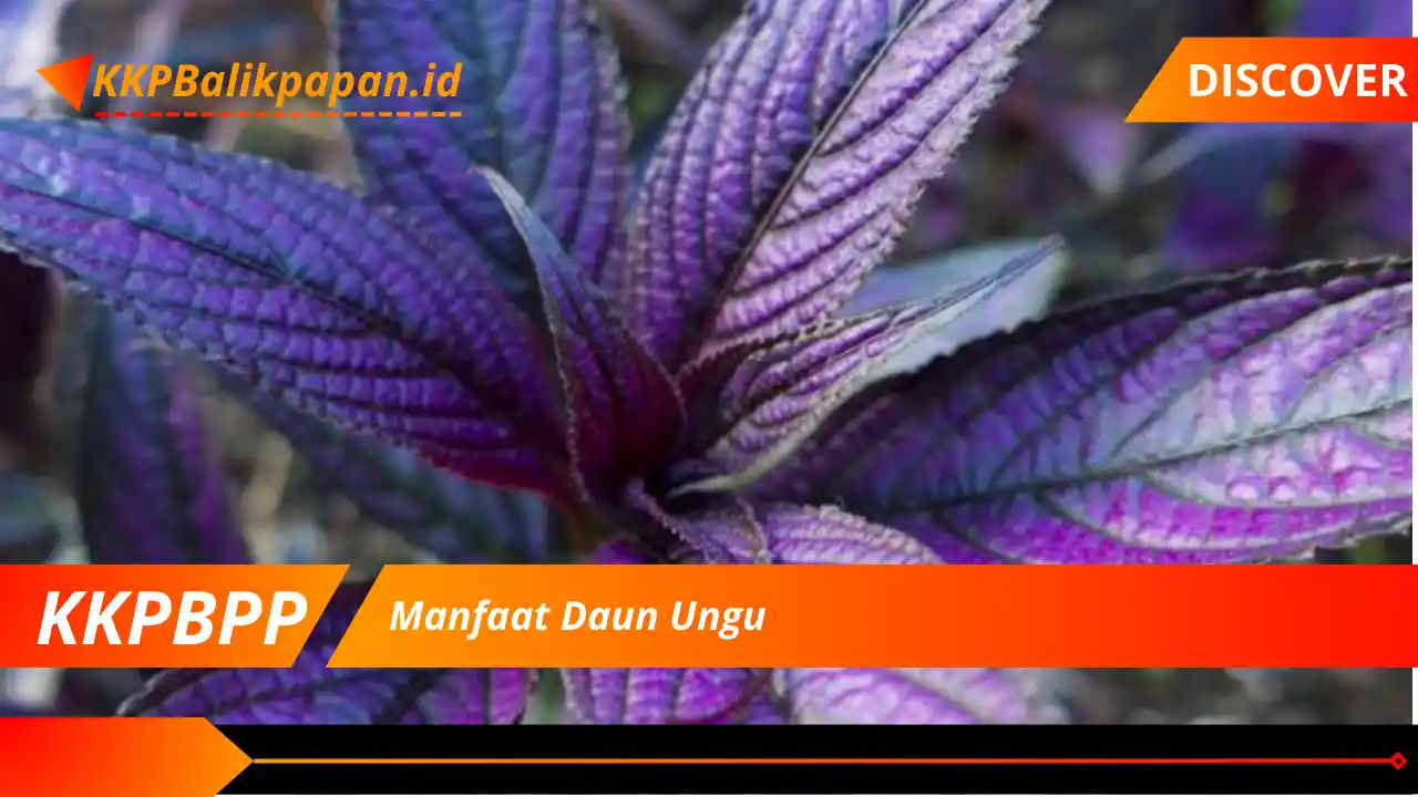 Manfaat Daun Ungu