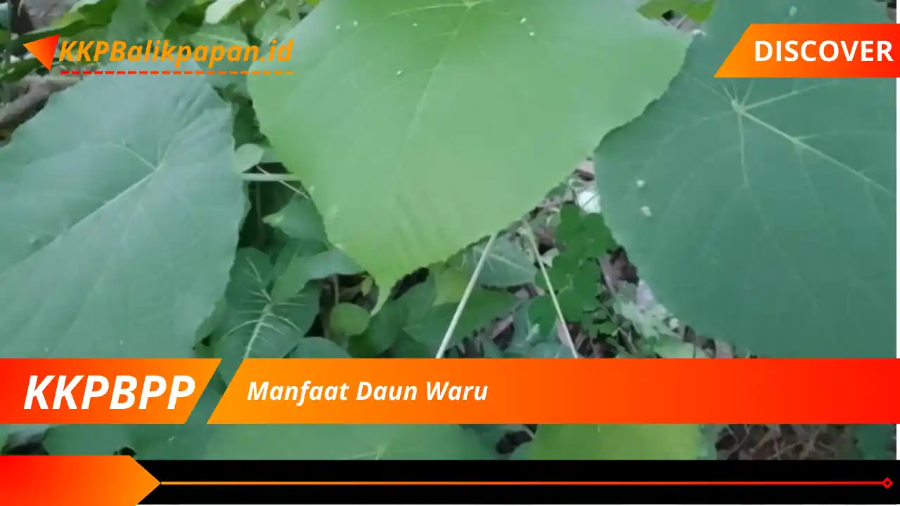 Manfaat Daun Waru