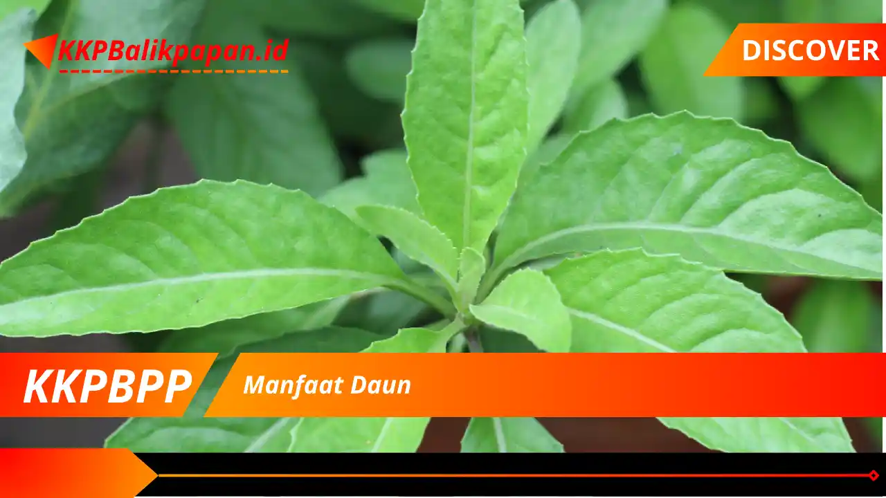 Manfaat Daun