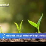 Manfaat Energi Matahari Bagi Tumbuhan Sebutkan 5