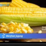 Manfaat Jagung