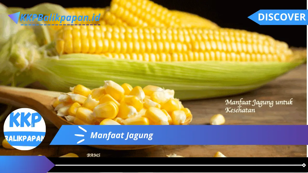 Manfaat Jagung