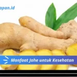 Manfaat Jahe untuk Kesehatan