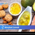 Manfaat Lemak