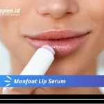 Manfaat Lip Serum