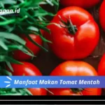 Manfaat Makan Tomat Mentah