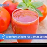Manfaat Minum Jus Tomat Setiap Hari