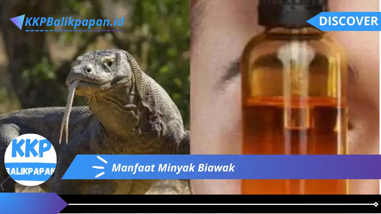 Manfaat Minyak Biawak