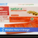 Manfaat Natur E Orange