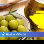 Manfaat Olive Oil