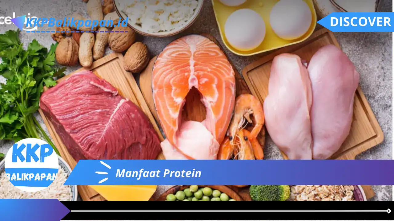 Manfaat Protein