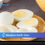 Manfaat Putih Telur