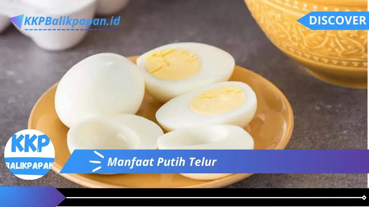 Manfaat Putih Telur