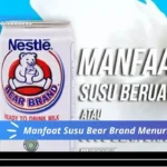 Manfaat Susu Bear Brand Menurut Dokter