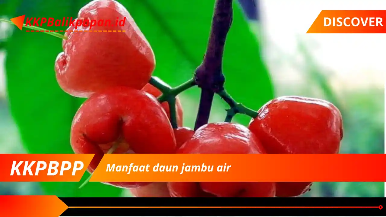 Manfaat daun jambu air