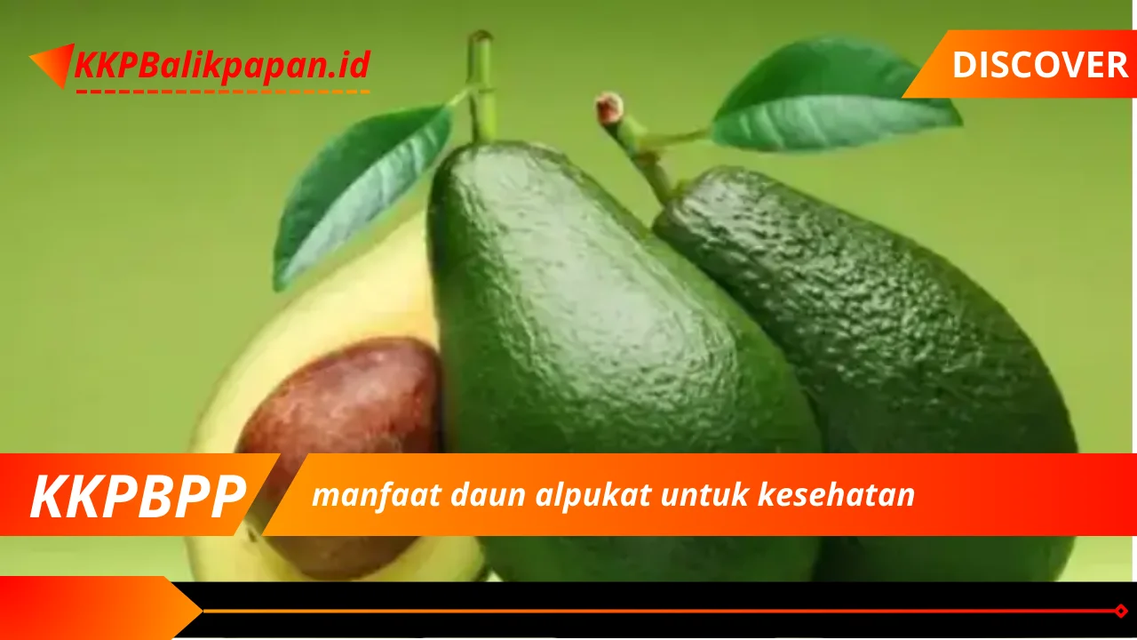 manfaat daun alpukat untuk kesehatan