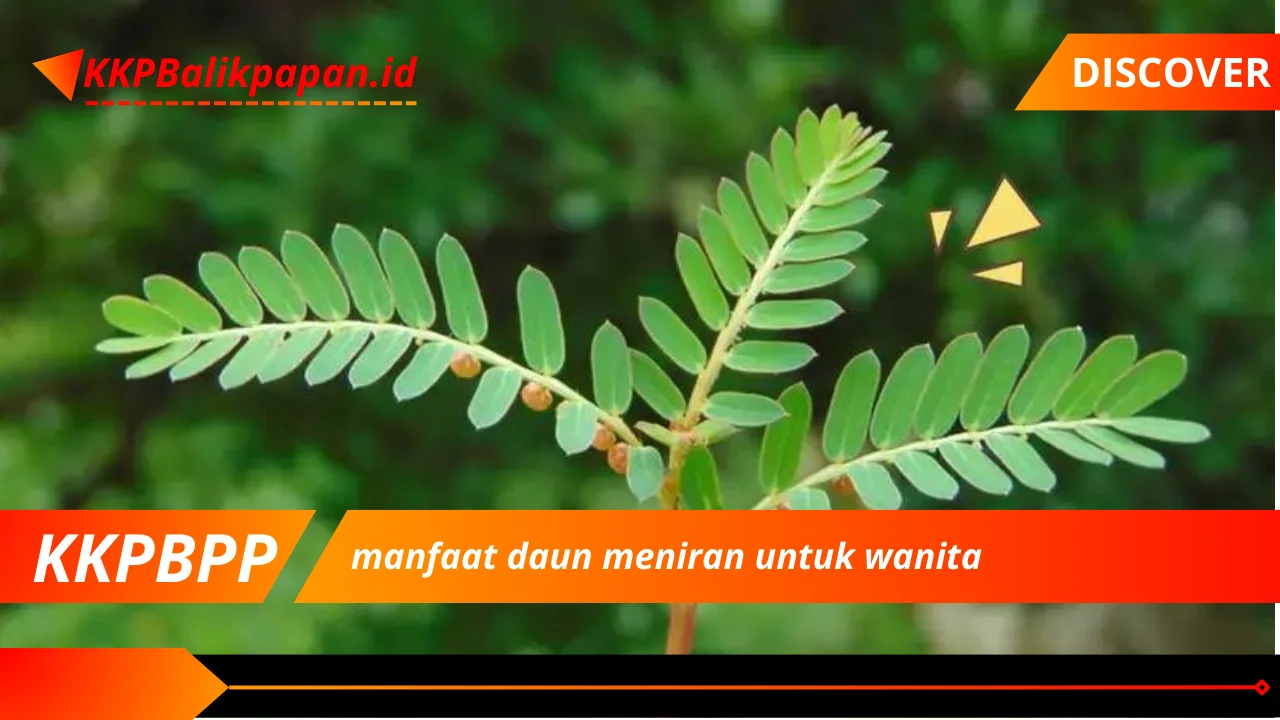 manfaat daun meniran untuk wanita