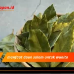 manfaat daun salam untuk wanita