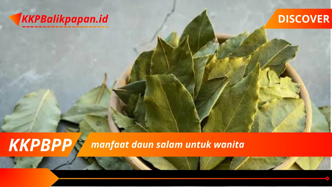 manfaat daun salam untuk wanita