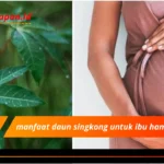 manfaat daun singkong untuk ibu hamil