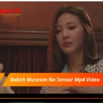 Bokeh Museum No Sensor Mp4 Video